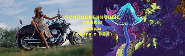 молекула духа Алексеевка