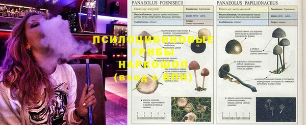 круглые Видное