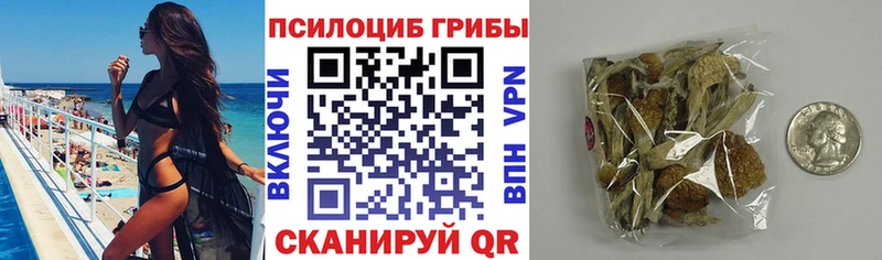 Псилоцибиновые грибы прущие грибы  Нытва 